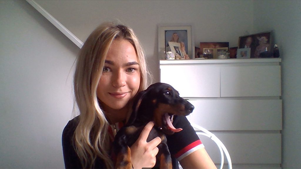 15-week old Harry the Dachshund is a welcome addition to team meetings!