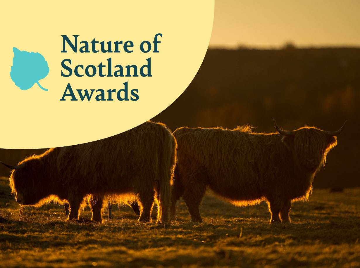 Nature of Scotland Awards