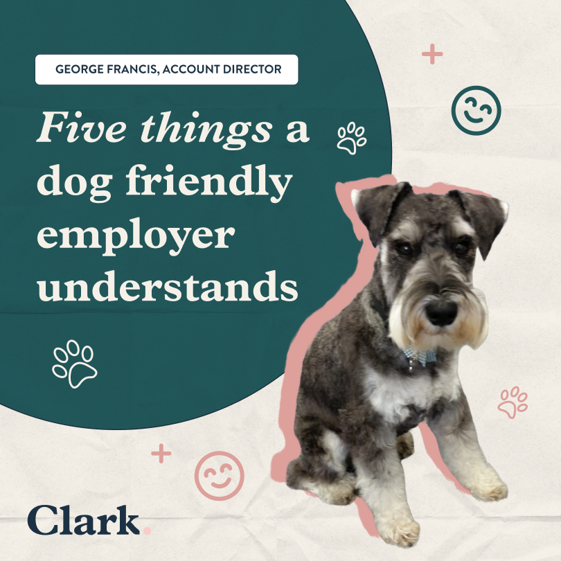 Five things a dog friendly employer understands
